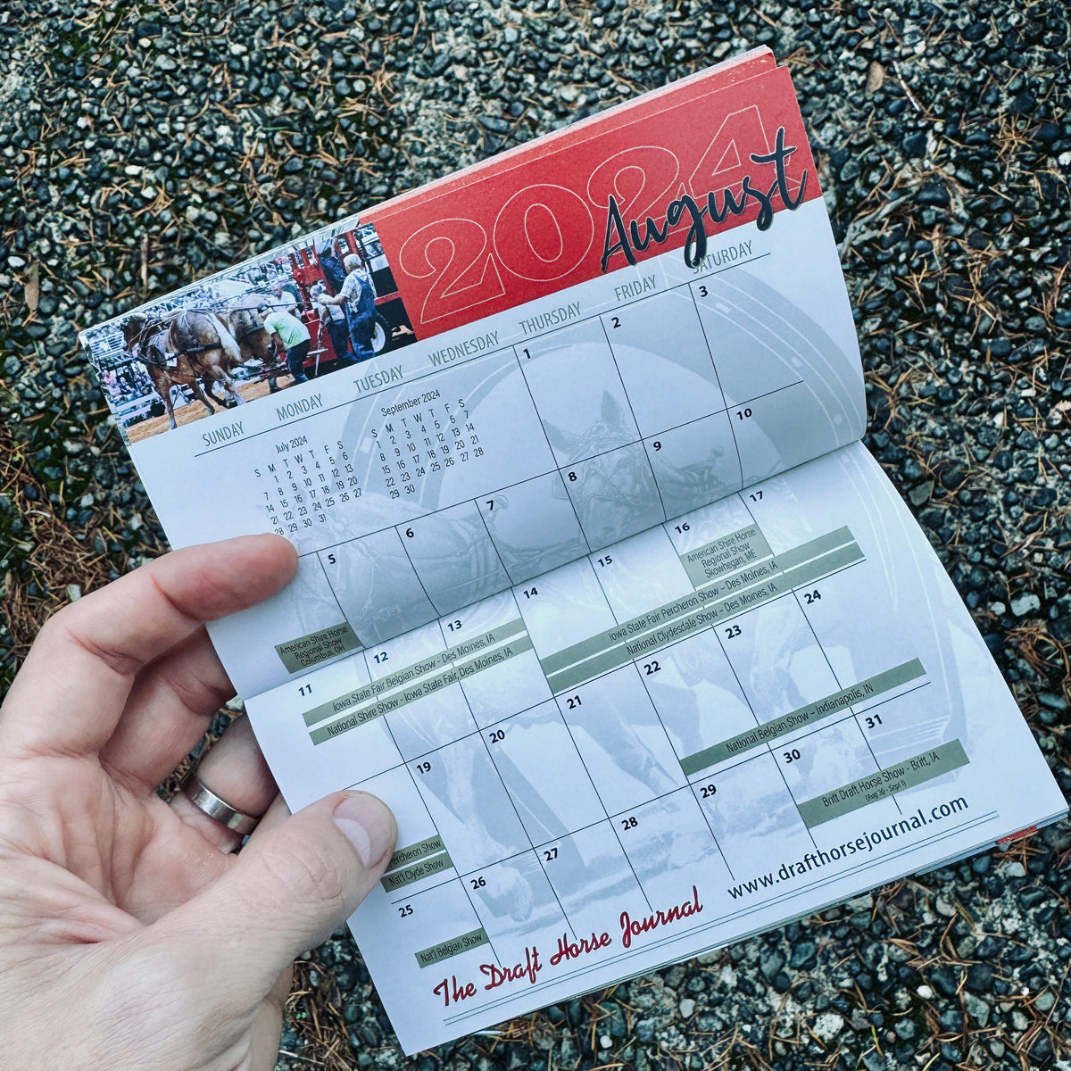 2024 Pocket Calendar Draft Horse Journal