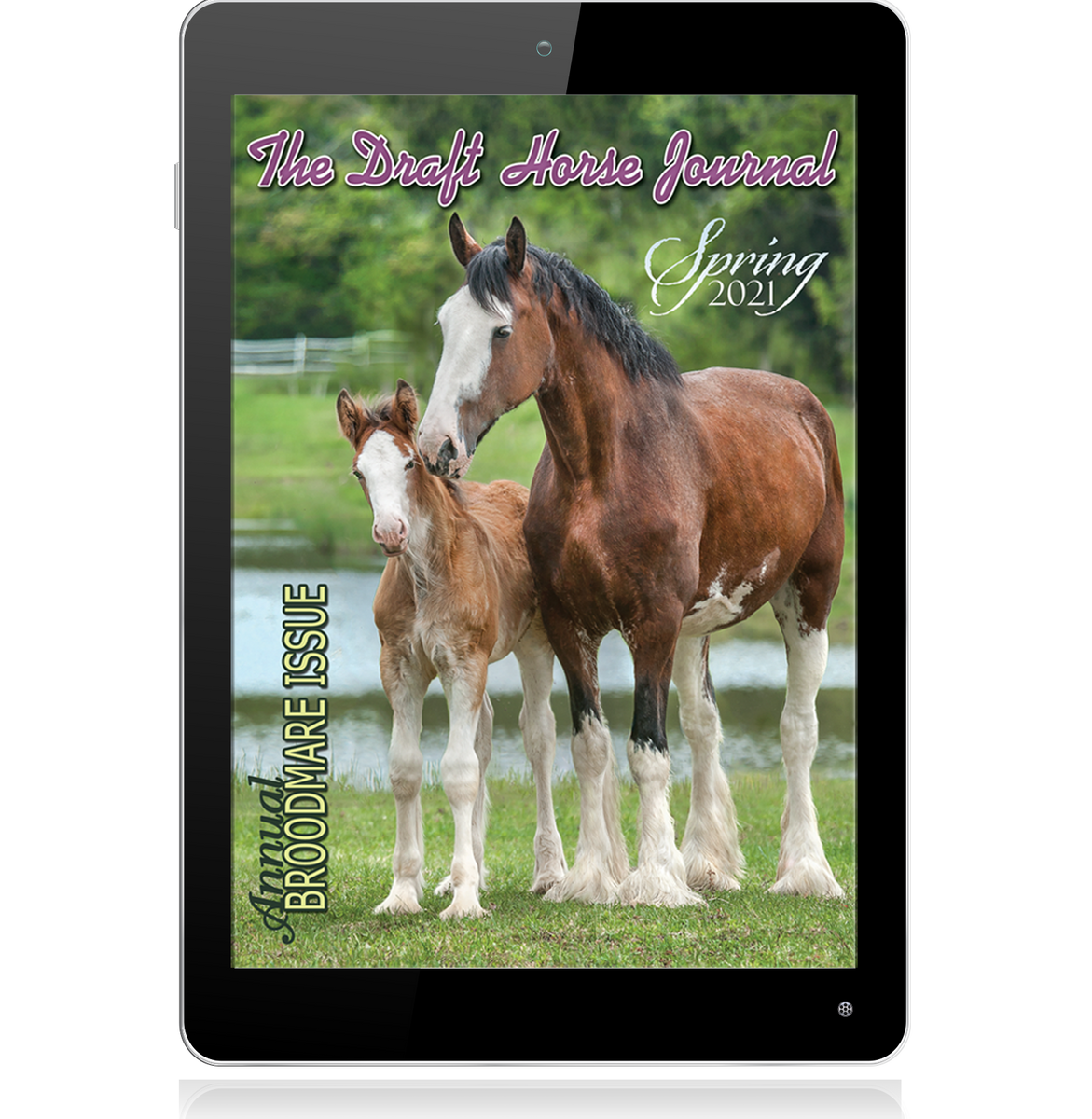 Spring 2021 Digital The Draft Horse Journal