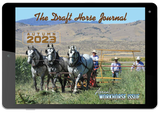 Digital Subscription