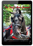 Digital Subscription