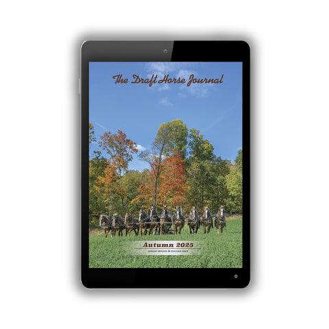 Autumn 2025 – Digital