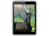 Digital Subscription – Archive Membership