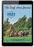Digital Subscription