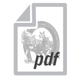 Digital Subscription