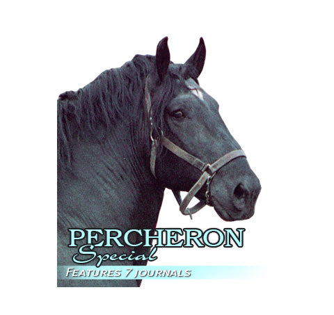 Percheron Special
